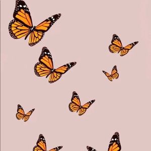 Meet your Posher, Angelina